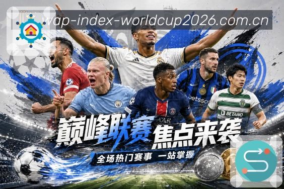 比分分析